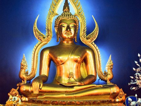Il Buddha